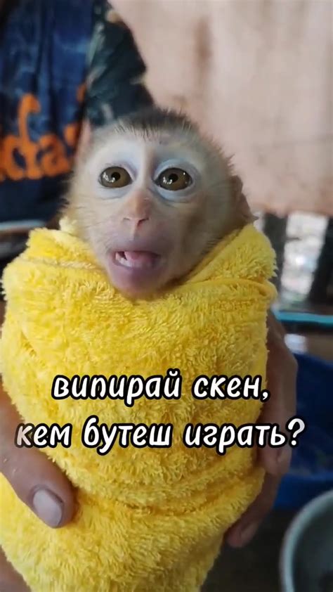 Выбор скина и его приобретение
